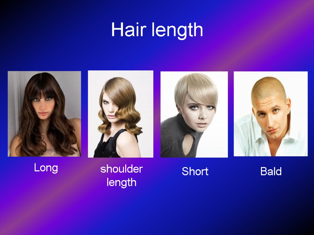 Hair length Long shoulder length Bald Short